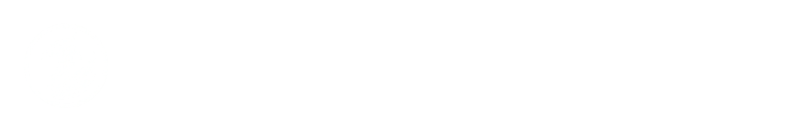 Solviony